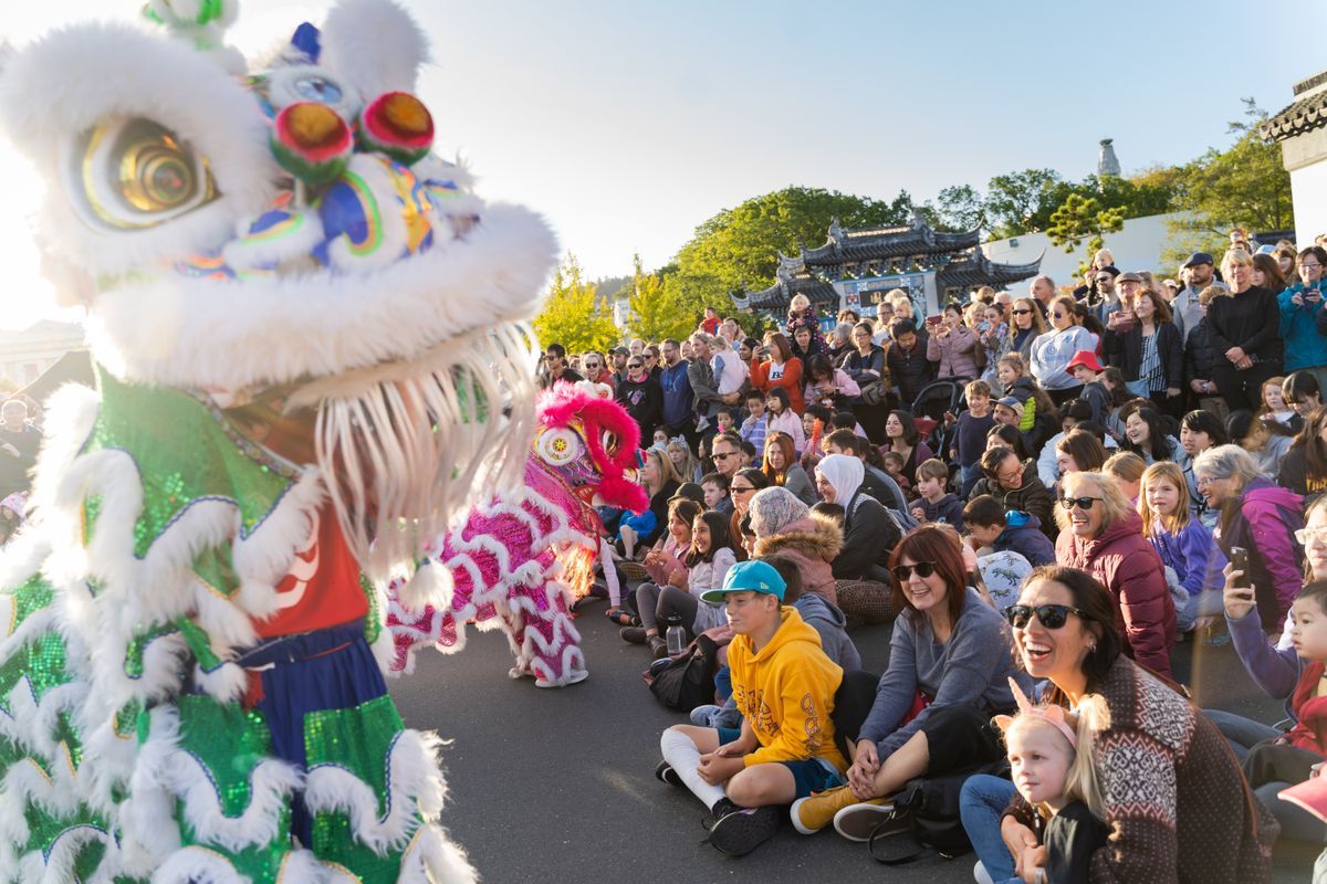 Lion and Dragon Dance Performance