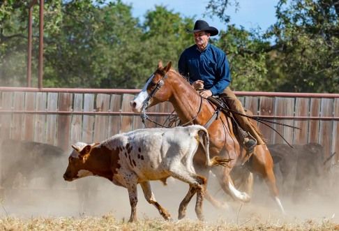 Northwest horse Fair & Expo