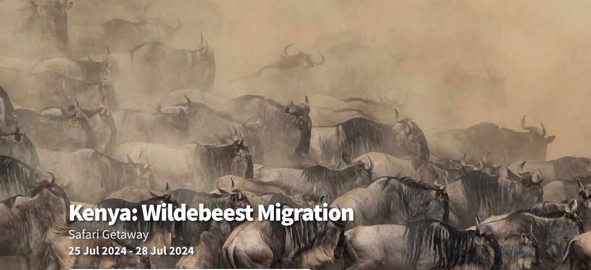 Kenya: The Great Wildebeest Migration