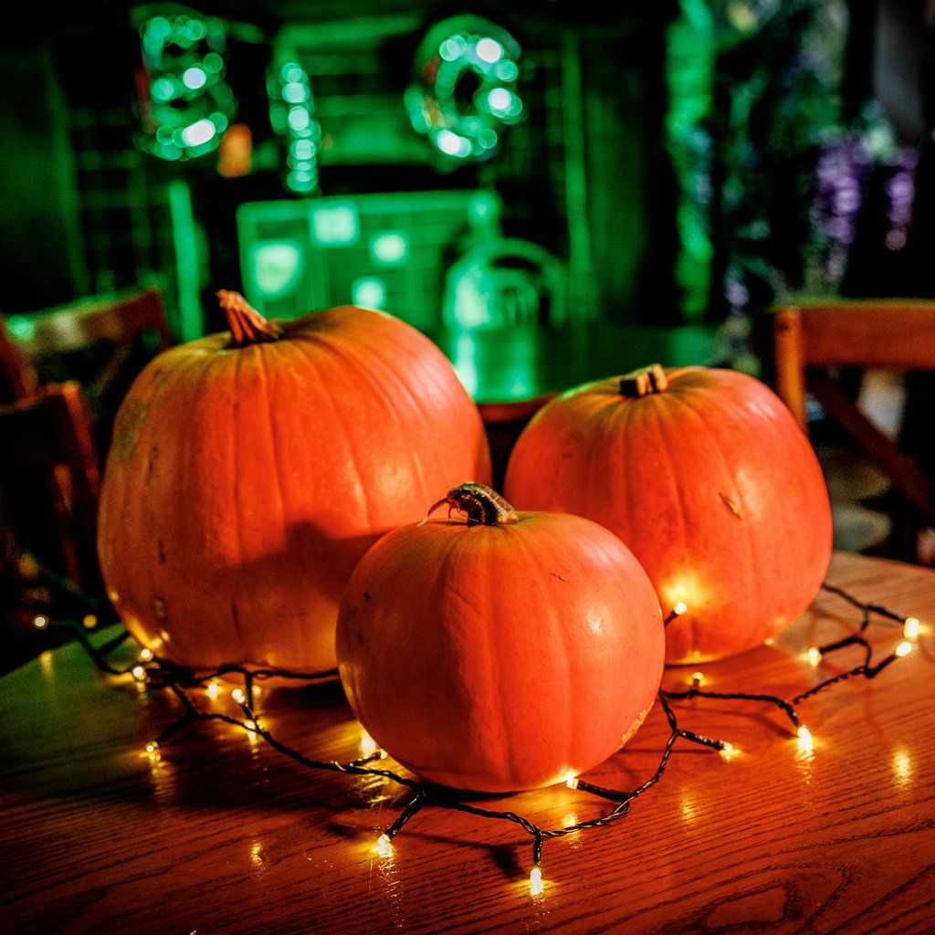 Pumpkin Carving with Mr Wolf