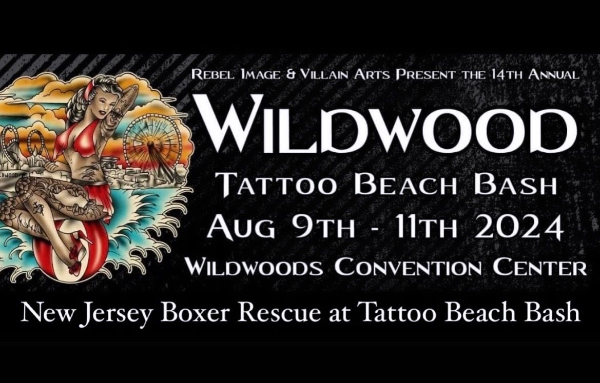 NJ Boxer Rescue at Wildwood Tattoo Beach Bash