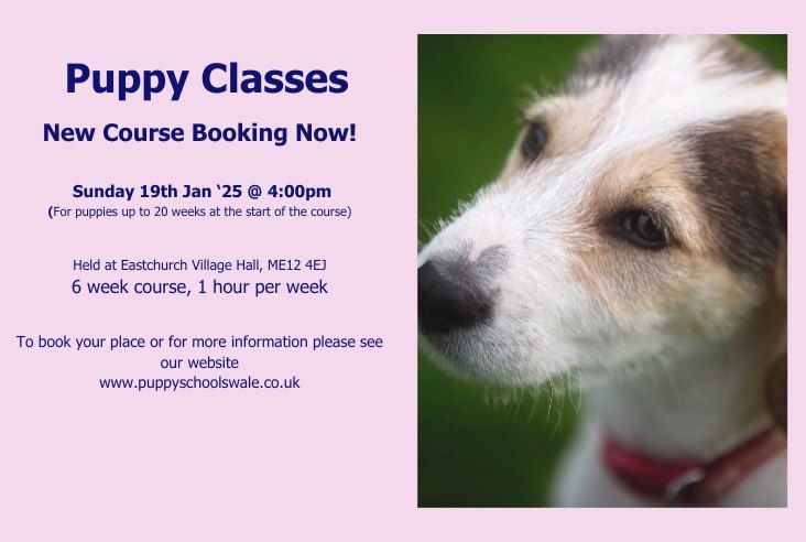 Puppy School Course 19th Jan