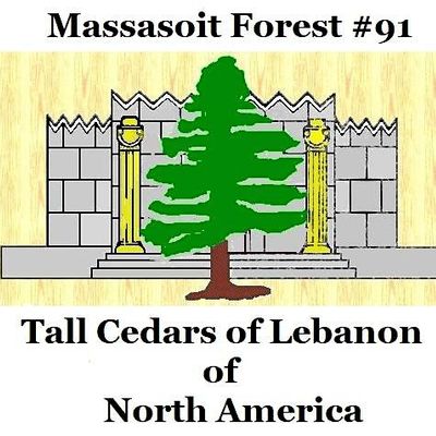 Massasoit Forest Tall Cedars of Lebanon