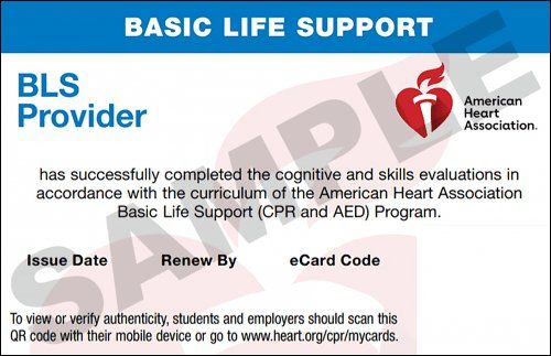 CPR & BLS Classes in Jacksonville - Same Day Cards