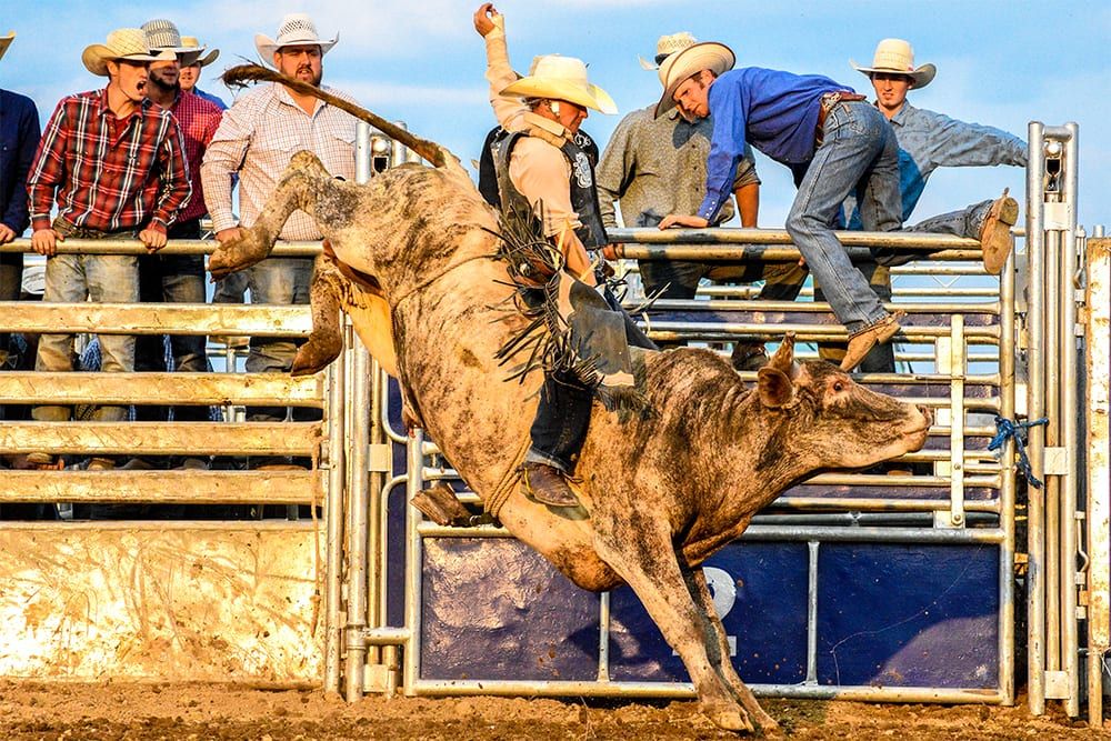 Cowboy Up: Livermore Rodeo
