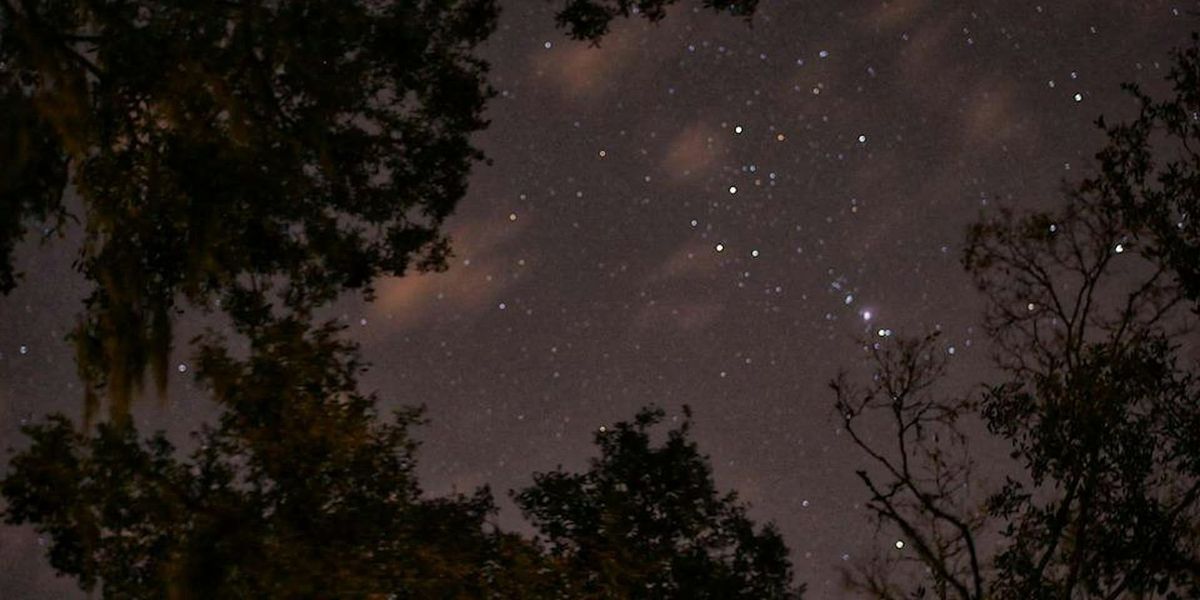 Night Hike in the Preserve