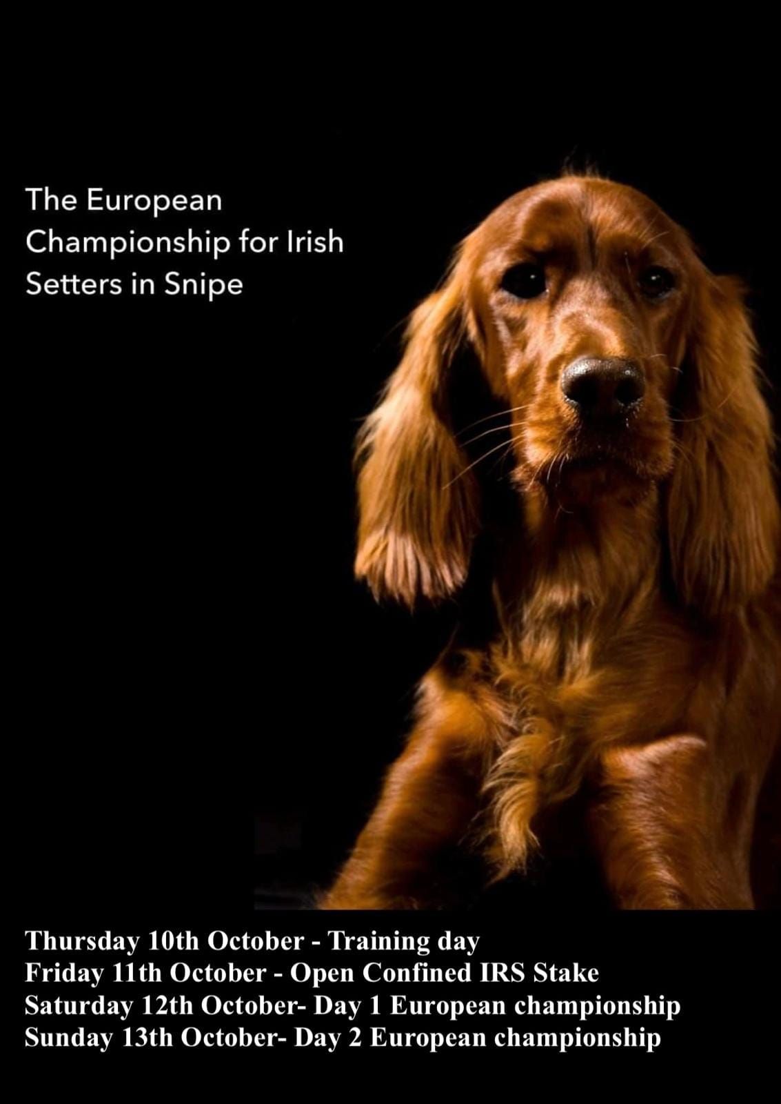 European Championship for Irish Red Setters on Snipe