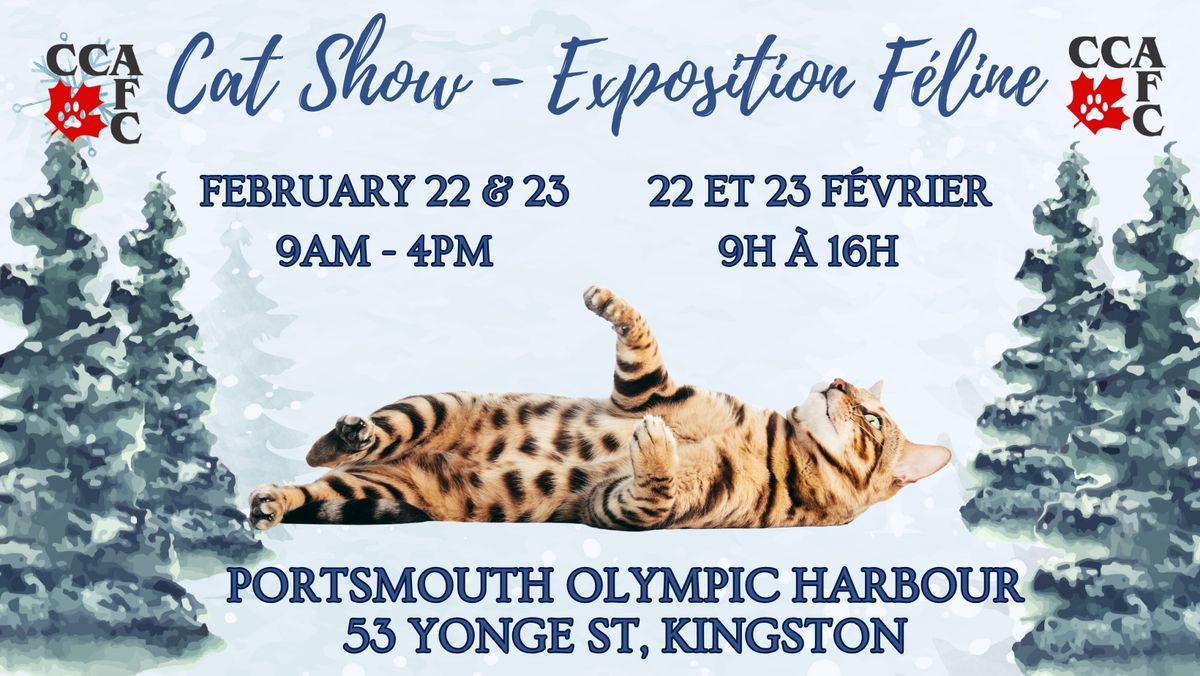 Kingston Cat Show - Exposition F\u00e9line