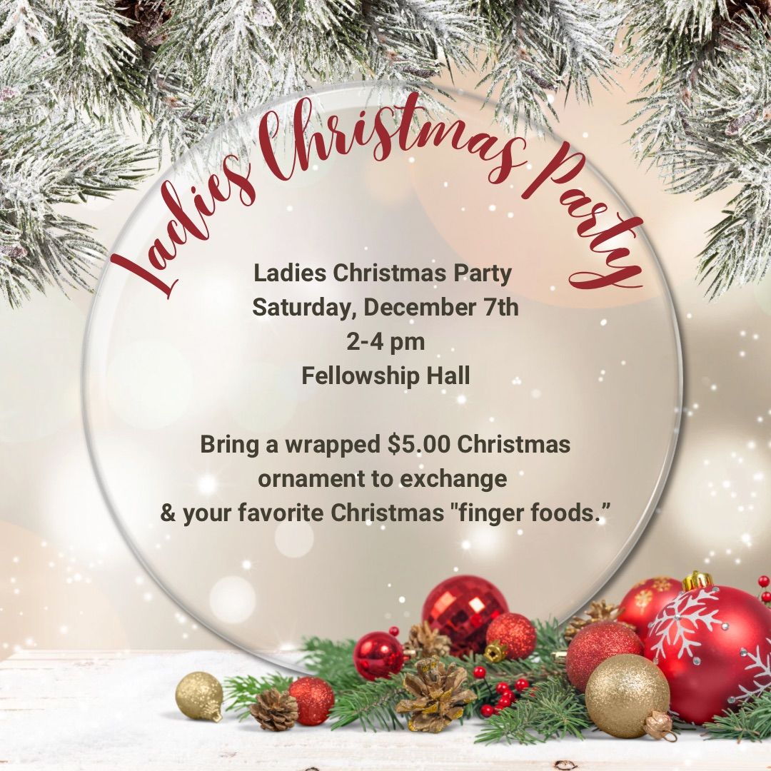 Ladies Christmas Party \ud83c\udf84 