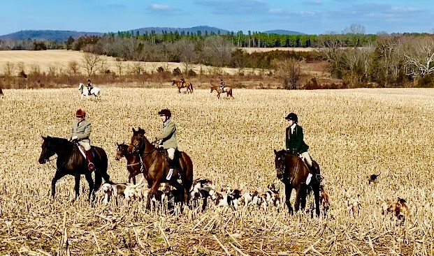 Bull Run Hunt Fall Hunter Pace