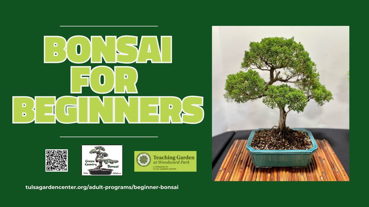 Bonsai for Beginners