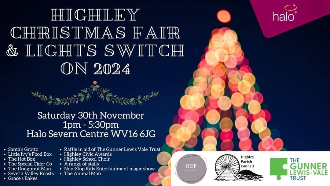 Christmas Lights Switch-On