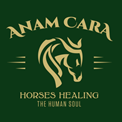 Anam Cara Stables - Horses Healing The Human Soul