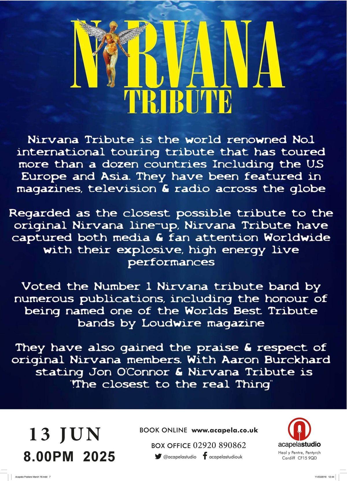 Nirvana Tribute