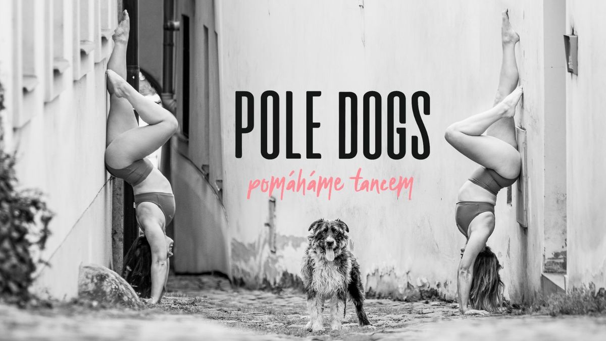 Pole Dogs Charity day 2024