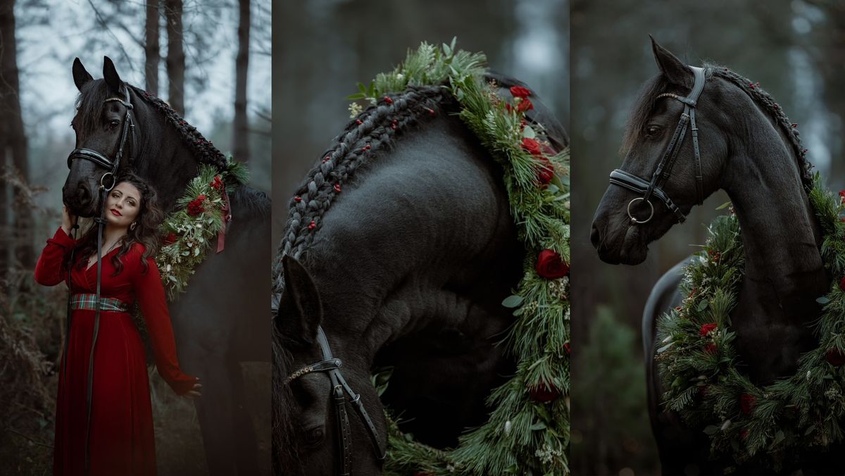 Festive Equine Photoshoot Day \ud83c\udf84\ud83c\udf81\ud83d\udcf8