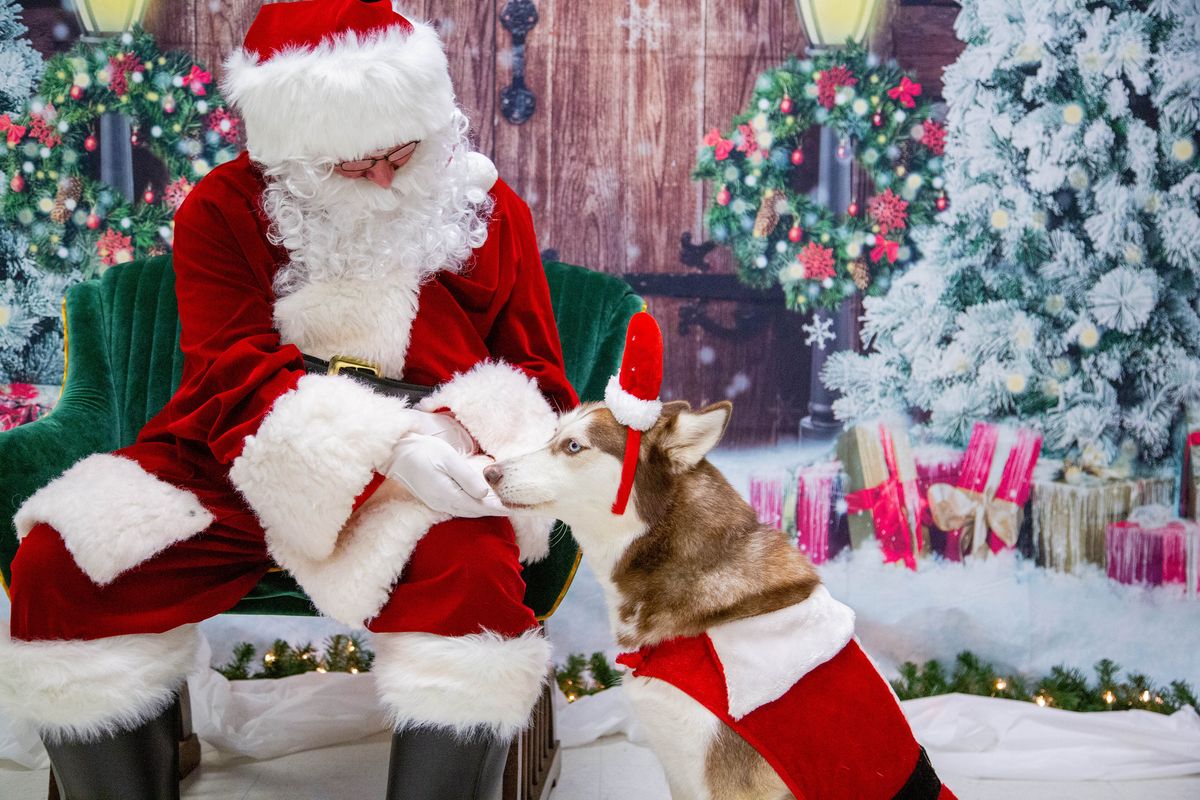 Paws & Claus - Pet Photos with Santa