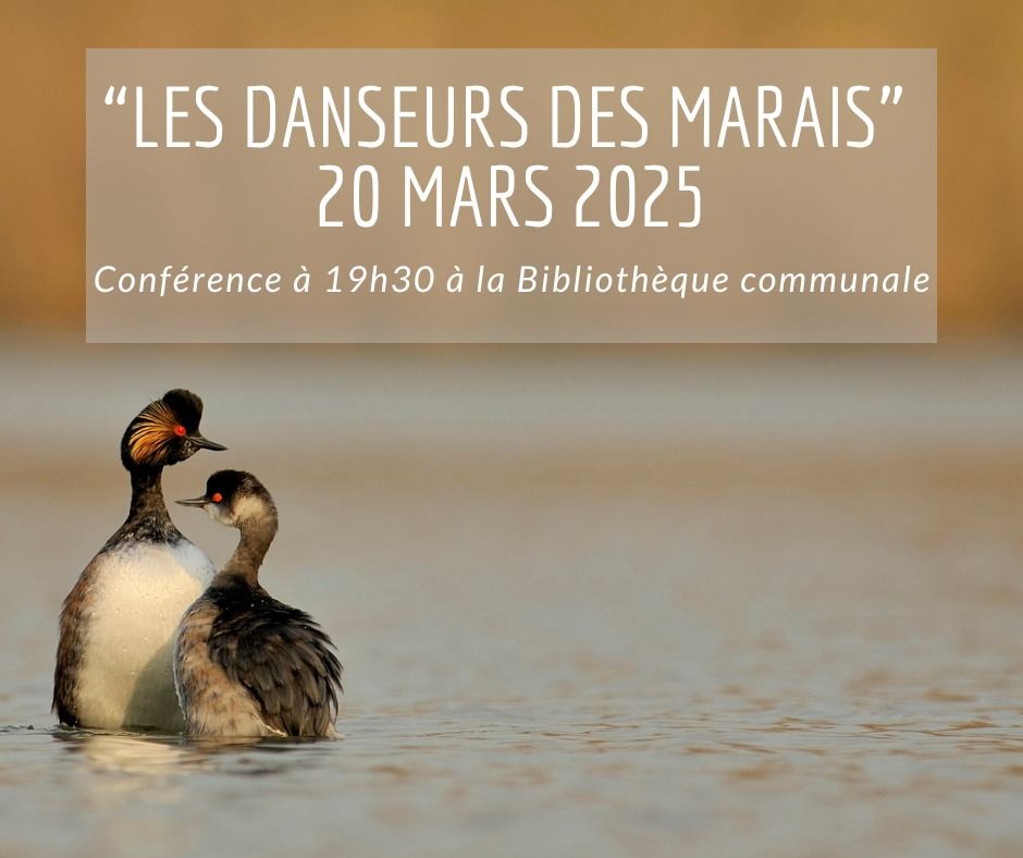 Conf\u00e9rence sur \u201cLes danseurs des marais\u201d