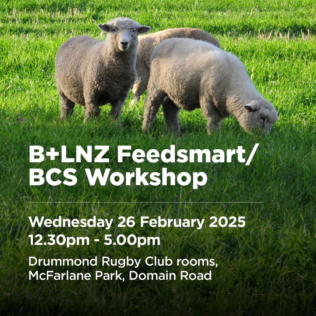 B+LNZ Feedsmart\/Ewe Body Condition Scoring Drummond