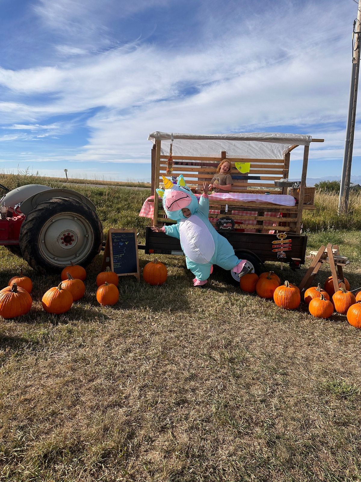 June Farm Stand 