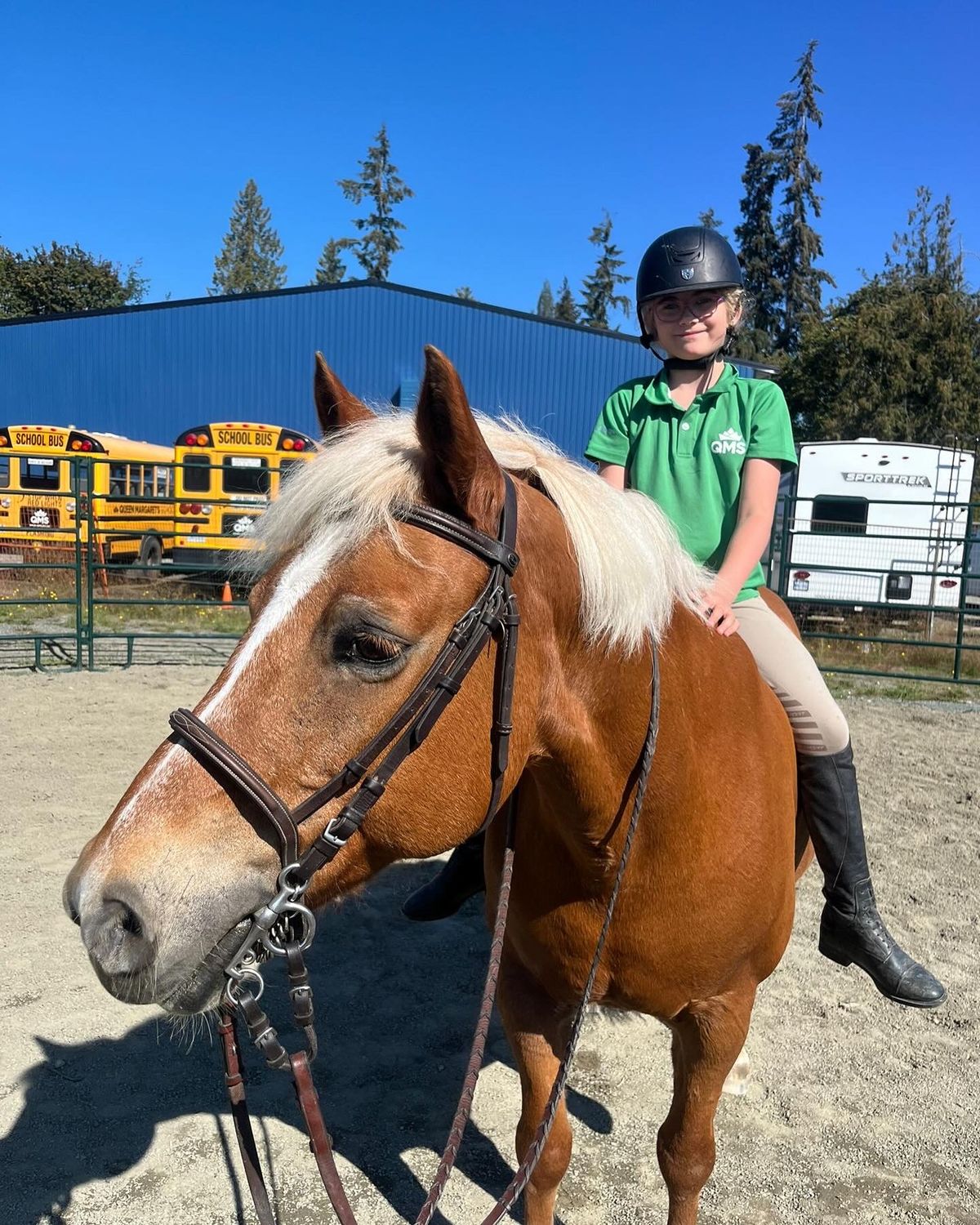 QMS Pro-D Day Pony Pals Camp