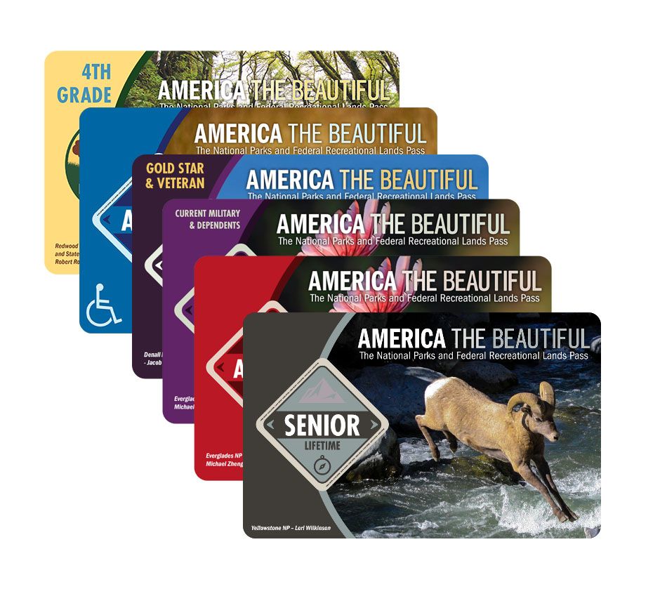 Collect A Con - 2 Day Pass