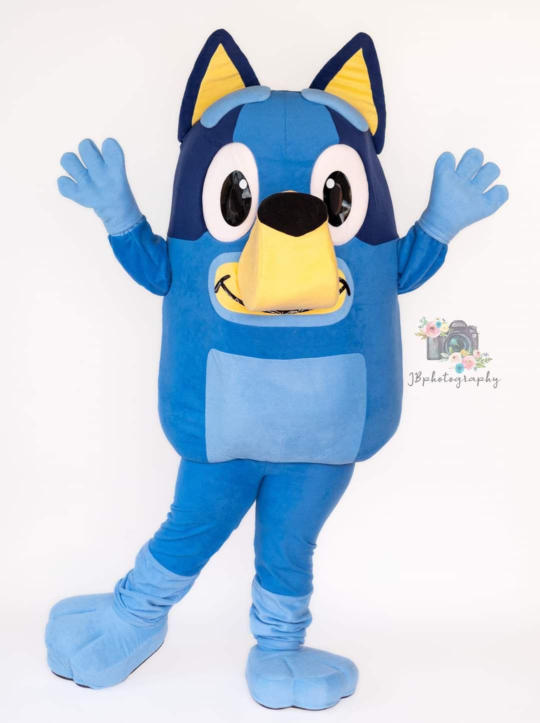 Bluey Meet & Greet 