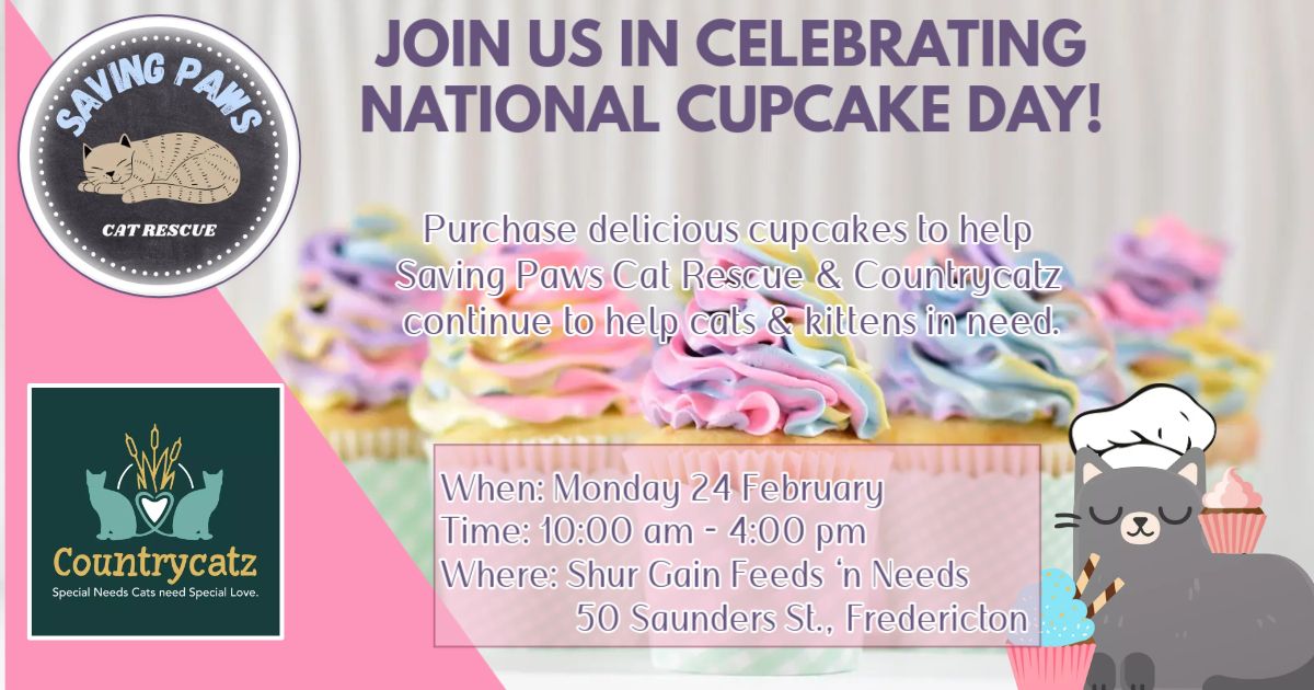 National Cupcake Day Fundraiser