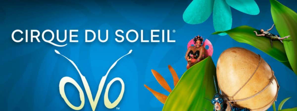 Cirque du Soleil - OVO