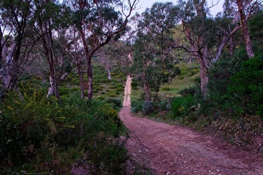 Walk the Maidens