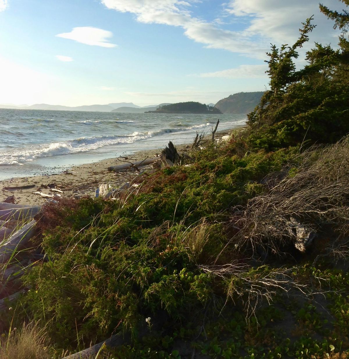 Edible & Medicinal Plants of the Pacific Northwest: Herb Walk