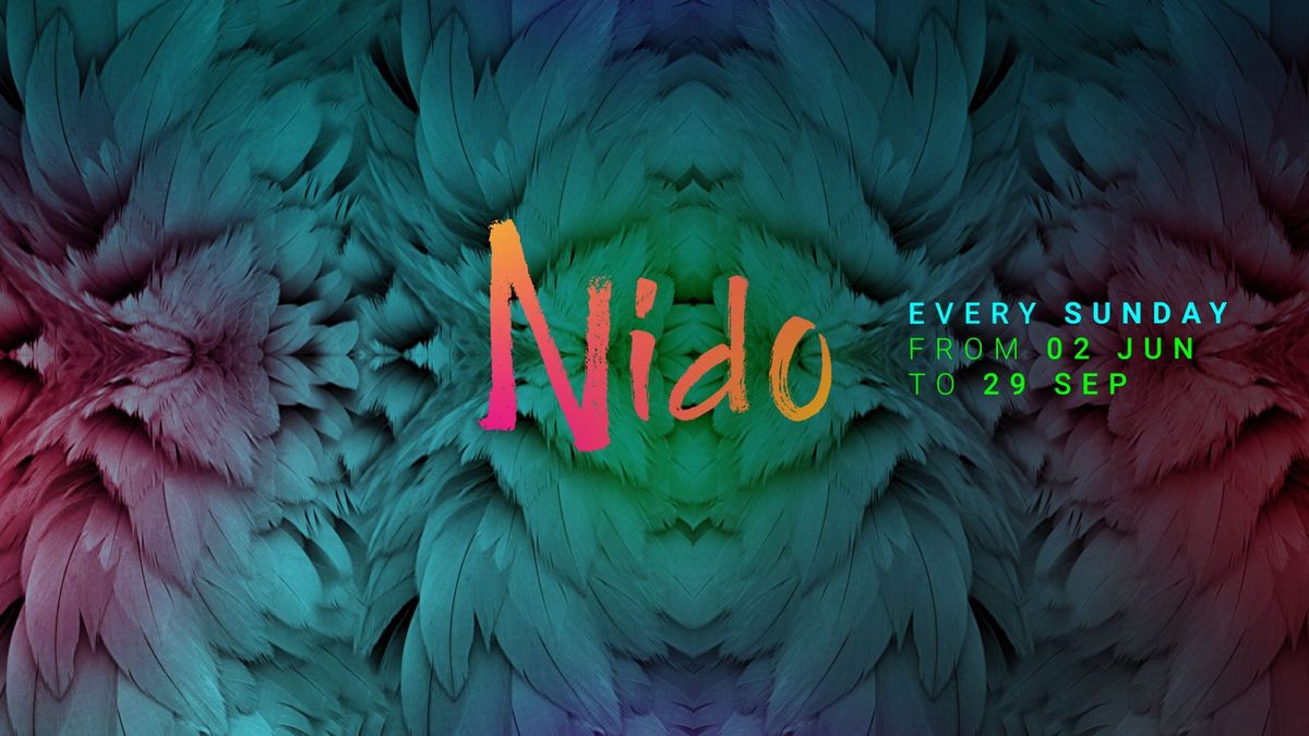 NIDO - EVERY SUNDAY