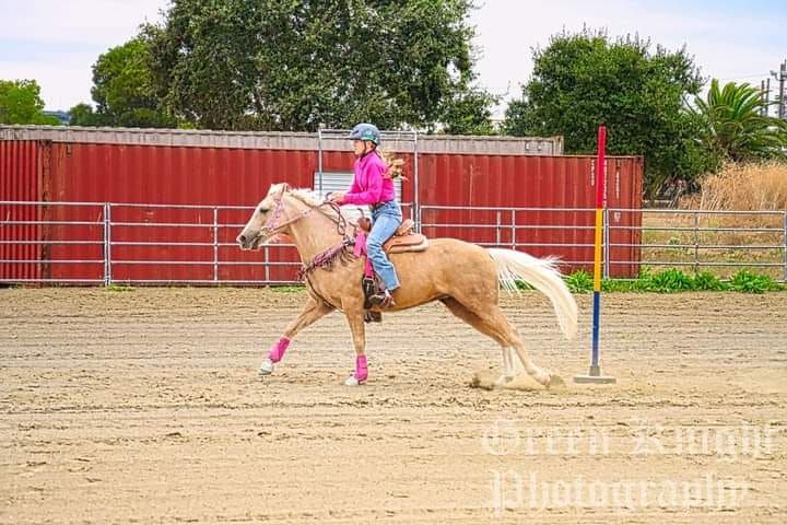 Gymkhana - Double Point Show!