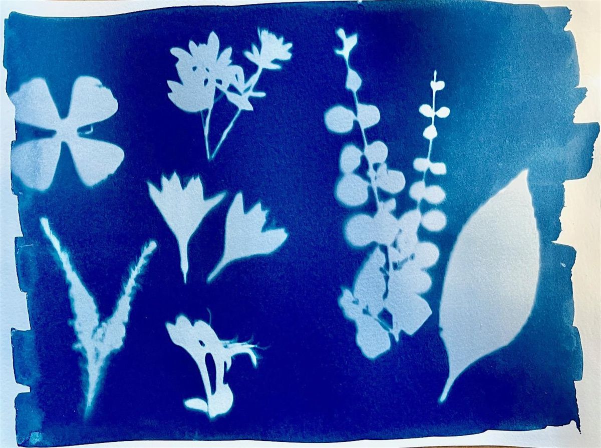 Introduction to Cyanotype Printing