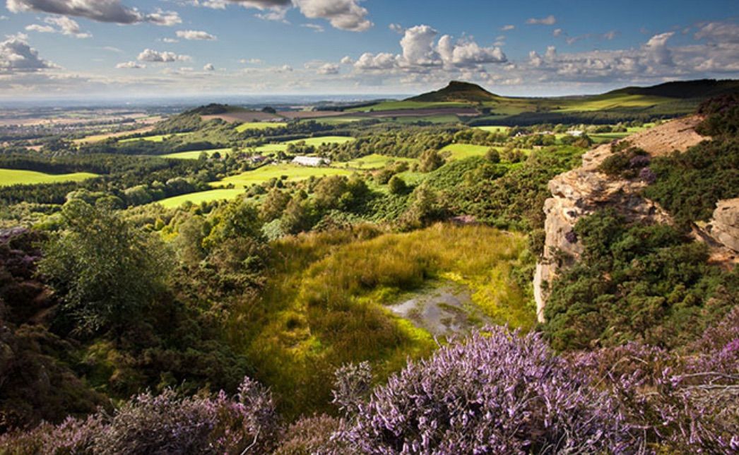 The State of Nature in North Yorkshire 