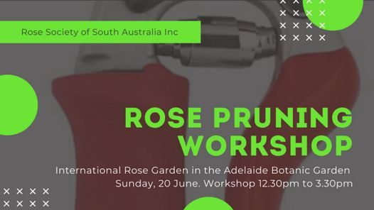 ROSE Pruning Workshop