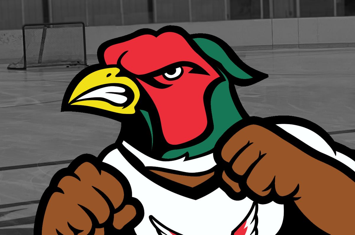 Aberdeen Wings vs. Minnesota Mallards