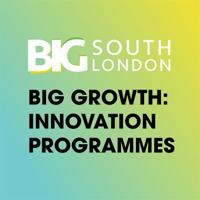 BIG Growth: Innovation Programmes