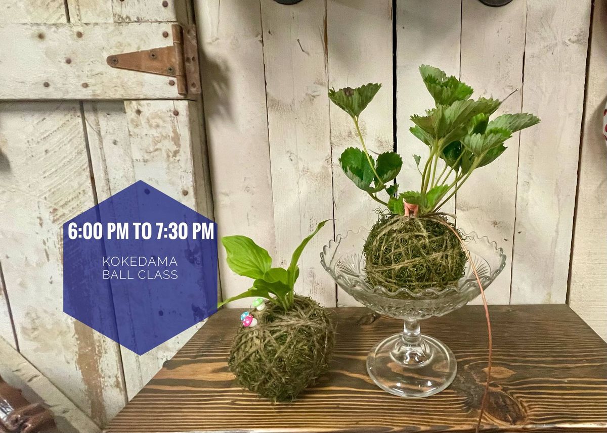 Kokedama Ball Class (Evening) 