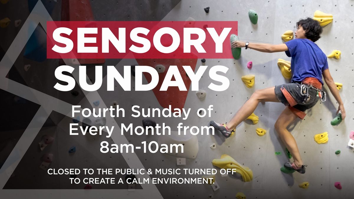 Sensory Sunday Rock Climbing