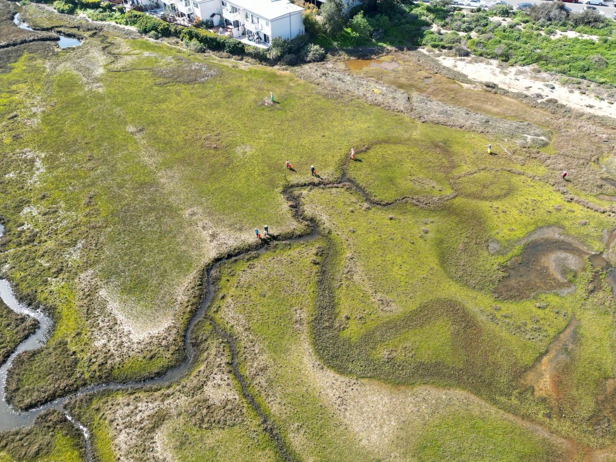 Wander the Wetlands: Work Party