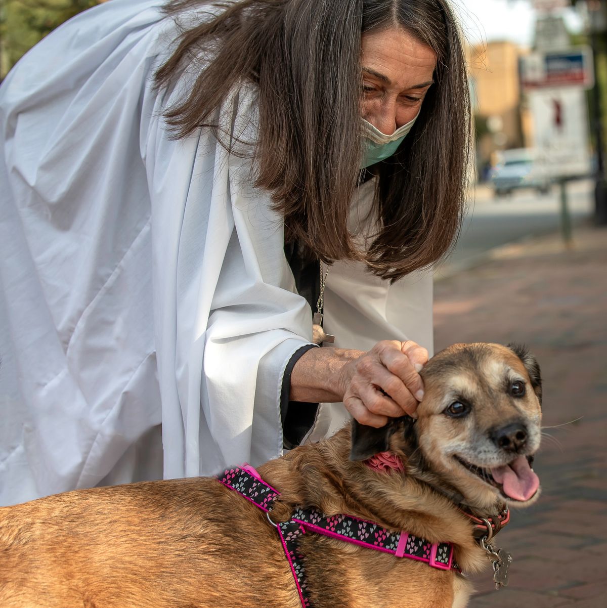 Annual Blessing of the Animals