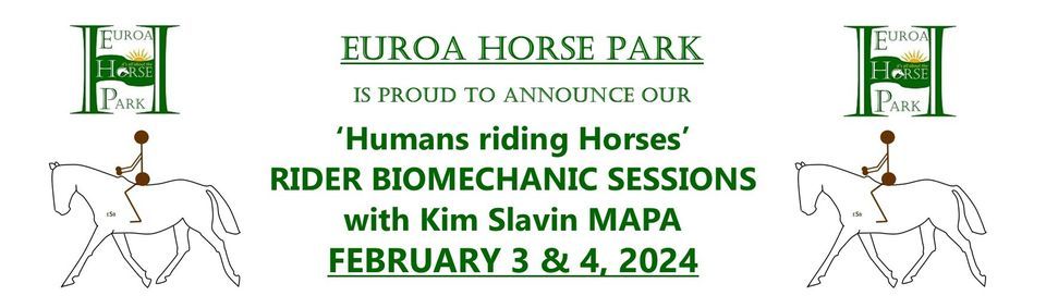 Humans riding Horses can benefit from understanding their body and how ...