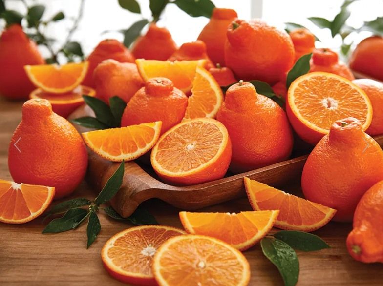 Florida Citrus Sales Event - Franklin, TN