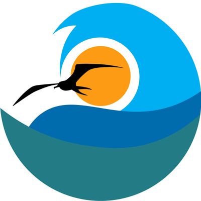 Dutch Caribbean Association