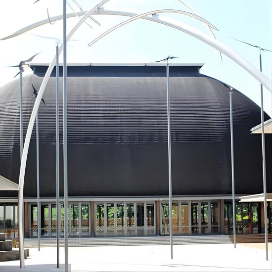 Hidden Culture of Central Auckland, walk and morning tea