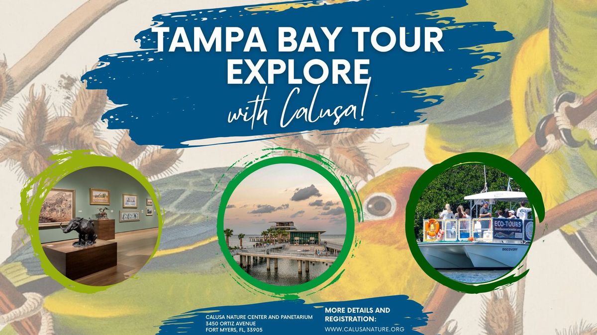 Tampa Bay Tour