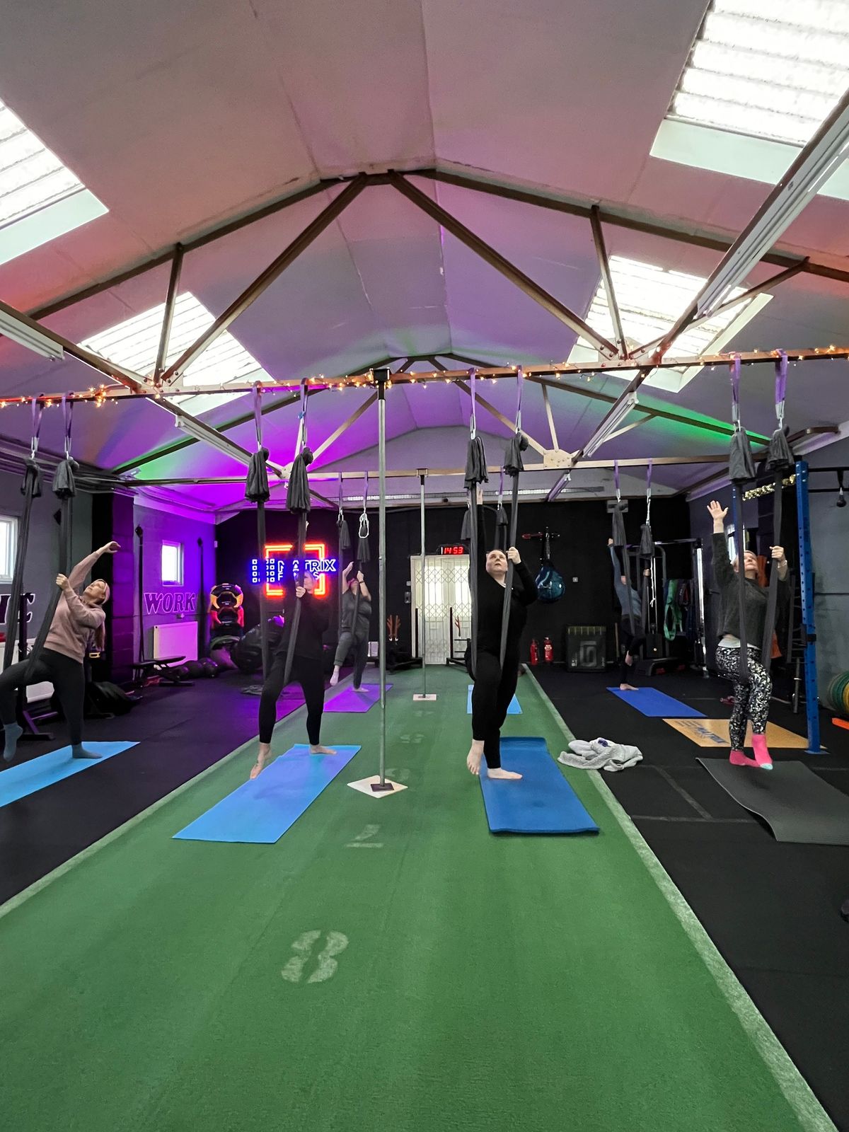 Aerial Yoga Workshop