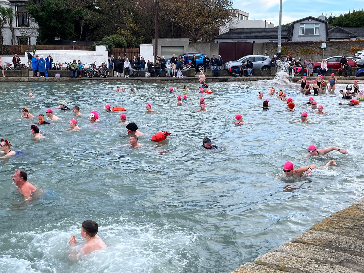 Vampire Swim 2024  Sandycove Harbour