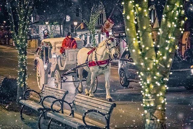 Fantasy Horse Drawn Carriage Christmas Ride Through Frankenmuth!!!